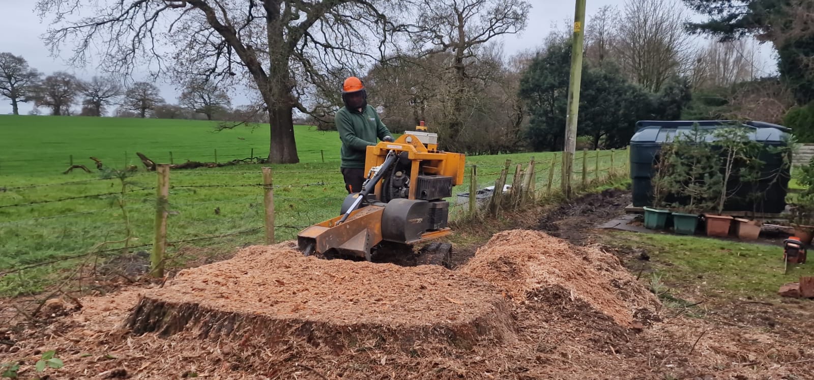 Tree stump removal service in Bromley with specialist equipment